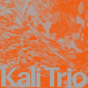 KALI TRIO - PLAYFUL ABSTRACT