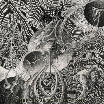DEAD & DRIPPING - NEFARIOUS SCINTILLATIONS