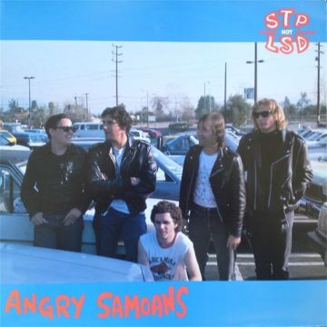 ANGRY SAMOANS - STP NOT LSD