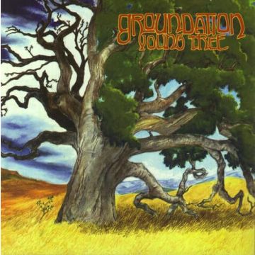 GROUNDATION - YOUNG TREE