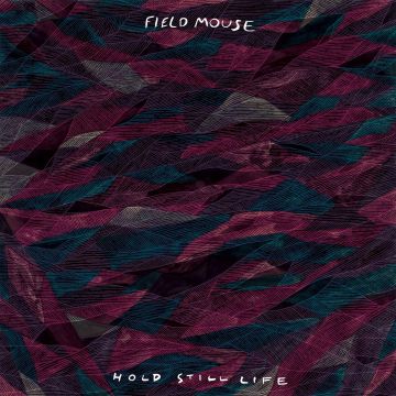 FIELD MOUSE - HOLD STILL LIFE
