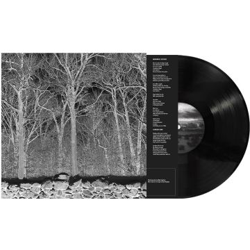 PILE - SUNSHINE & BALANCE BEAMS