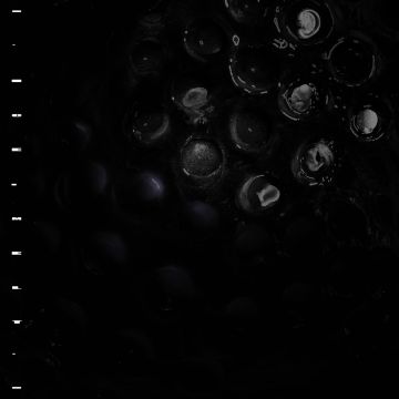 CRUMB - ICE MELT