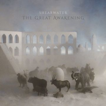 SHEARWATER - GREAT AWAKENING