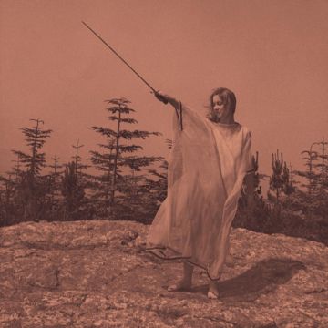 UNKNOWN MORTAL ORCHESTRA - II (10 YEAR ANNIVERSARY REISSUE/ALUMINUM VINYL)