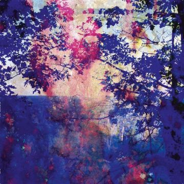ROLAND BUCHER - VIAJE