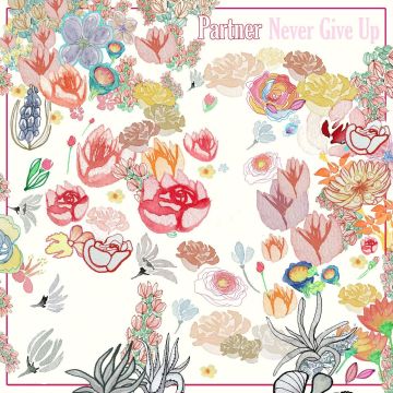 PARTNER - NEVER GIVE UP (DL CARD)