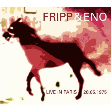 FRIPP & ENO - LIVE IN PARIS