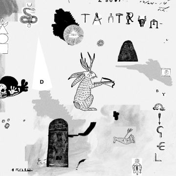 NIGEL - TANTRUM (DL CARD)