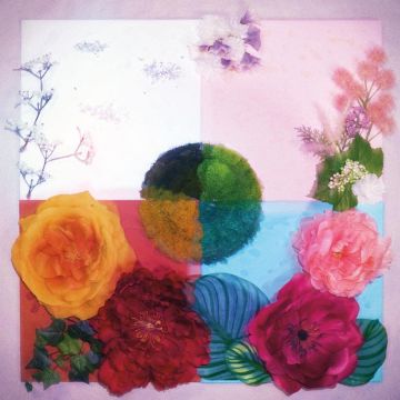 ZENIZEN - P.O.C (PROOF OF CONCEPT) (LIMITED PINK & MAROON VINYL)
