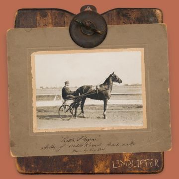 LIMBLIFTER - LITTLE PAYNE