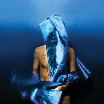 DEVENDRA BANHART - FLYING WIG