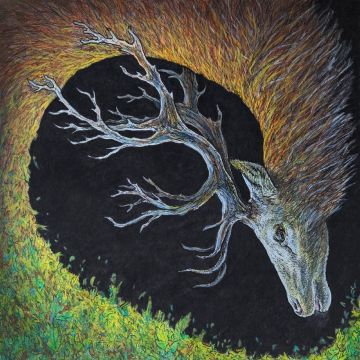 PETRELS - INFANGTHIEF