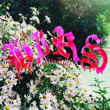 HIRS COLLECTIVE - WE'RE STILL HERE (WHITE VINYL)