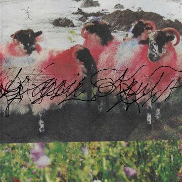 KASSIE KRUT - KASSIE KRUT (DELUXE)