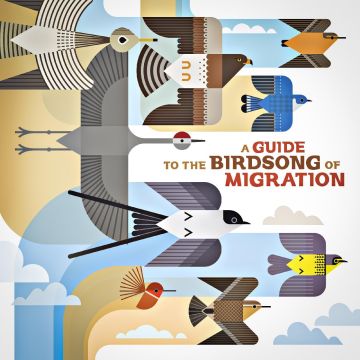 VARIOUS ARTISTS - GUIDE TO THE BIRDSONG OF MIGRATION