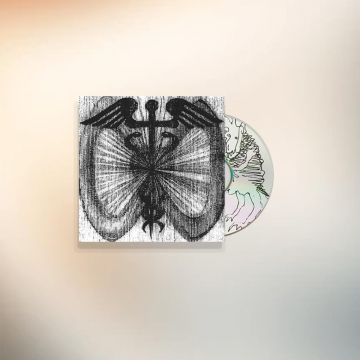 ROBBER ROBBER - TWO WHEELS MOVE THE SOUL