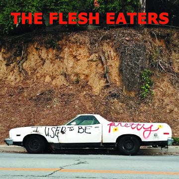 FLESH EATERS - I USED TO BE PRETTY (DL CODE)