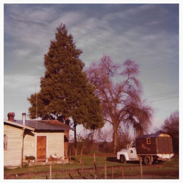 NIILO SMEDS - ONCE YOU WERE A BABY