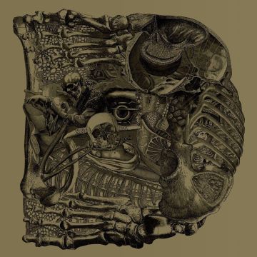 BORIS - DEAR