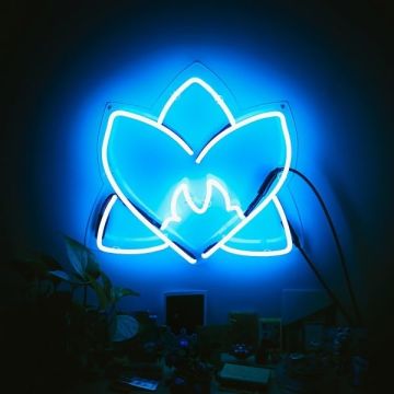 VARIOUS ARTISTS - RADIATING LIGHT