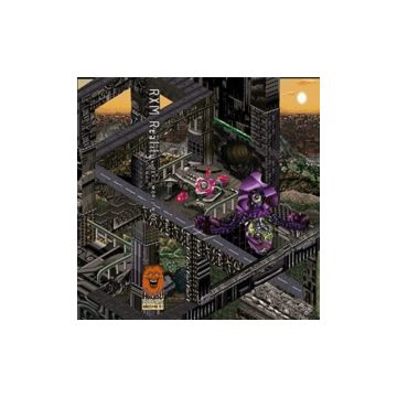 RXM REALITY - DEVIL WORLD WIDE