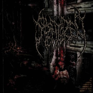 STERILIZED - MANGLED BIOMECHANICAL AMALGAMATIONS