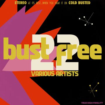 VARIOUS ARTISTS - BUST FREE 22 (180G/MARBLED WHITE & PINK VINYL)