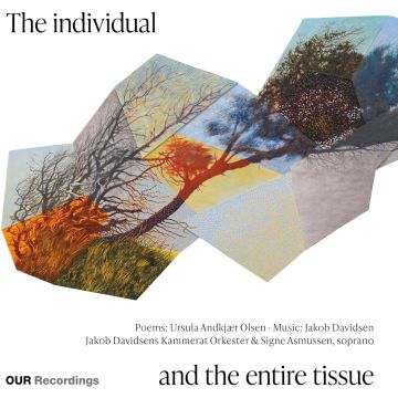 SIGNE ASMUSSEN - INDIVIDUAL & THE ENTIRE TISSUE