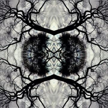 ADAM RUDOLPH - SONIC MANDALA GO: ORGANIC ORCHESTRA