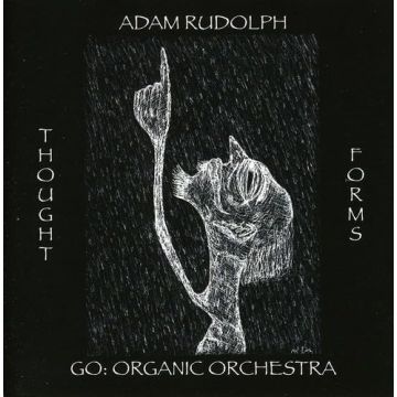 ADAM RUDOLPH - THOUGHT FORMS-GO: ORGANIC ORCHESTRA