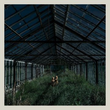 FOXING - DEALER