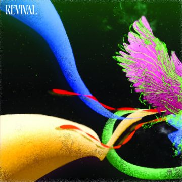 JUDAH & THE LION - REVIVAL