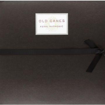 OLD CANES - FERAL HARMONIC