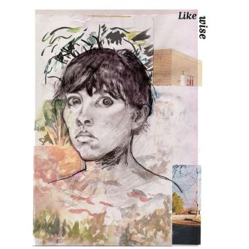 FRANCES QUINLAN - LIKEWISE