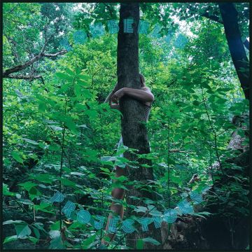 TOMBERLIN - PROJECTIONS (PICTURE DISC)