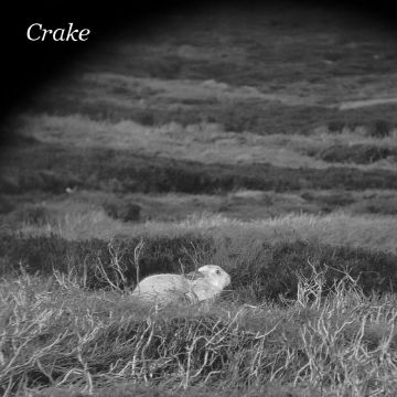 CRAKE - ENOUGH SALT (FOR ALL DOGS) B/W GEF (DL CARD)