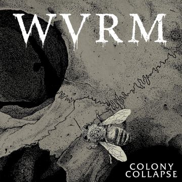 WVRM - COLONY COLLAPSE