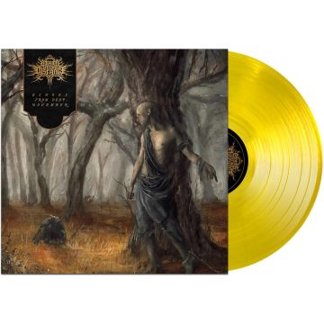 FIRES IN THE DISTANCE - ECHOES FROM DEEP NOVEMBER
