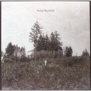 DAMIEN JURADO - SAINT BARTLETT