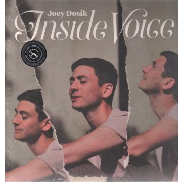 JOEY DOSIK - INSIDE VOICE