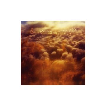 BOWERBIRDS - UPPER AIR