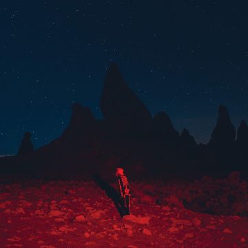 PHOEBE BRIDGERS - PUNISHER