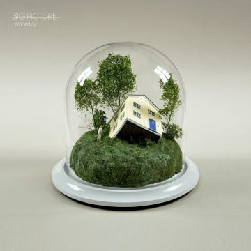 FENNE LILY - BIG PICTURE