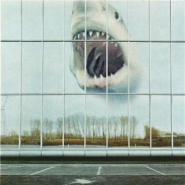 BLACK MOUNTAIN - WILDERNESS HEART