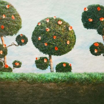 MIDNIGHT SISTER - PAINTING THE ROSES