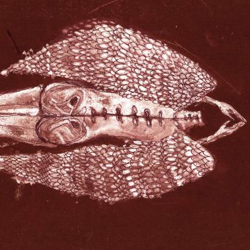 CERBERUS SHOAL - HOMB (ANNIVERSARY EDITION)