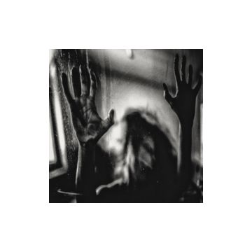 BEHIND THE SHADOW DROPS - H A R M O N I C