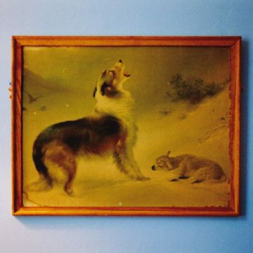 EXPLOSIONS IN THE SKY - RESCUE