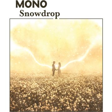 MONO - SNOWDROP